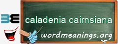 WordMeaning blackboard for caladenia cairnsiana